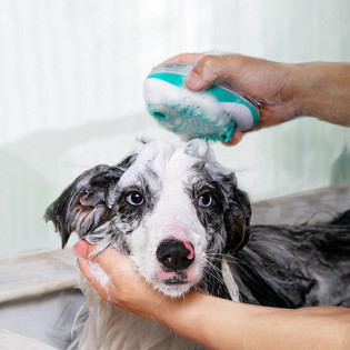 Multifunction Pet Cleaning Comb Blue